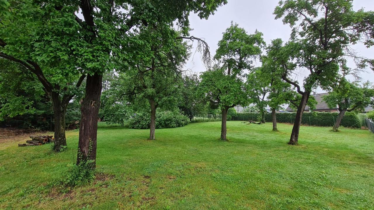 Eifelhof mit Obstbaumwiese Nideggen Exterior foto
