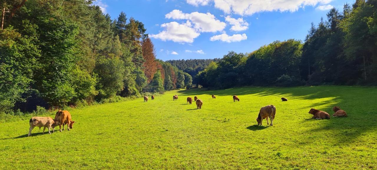 Eifelhof mit Obstbaumwiese Nideggen Exterior foto