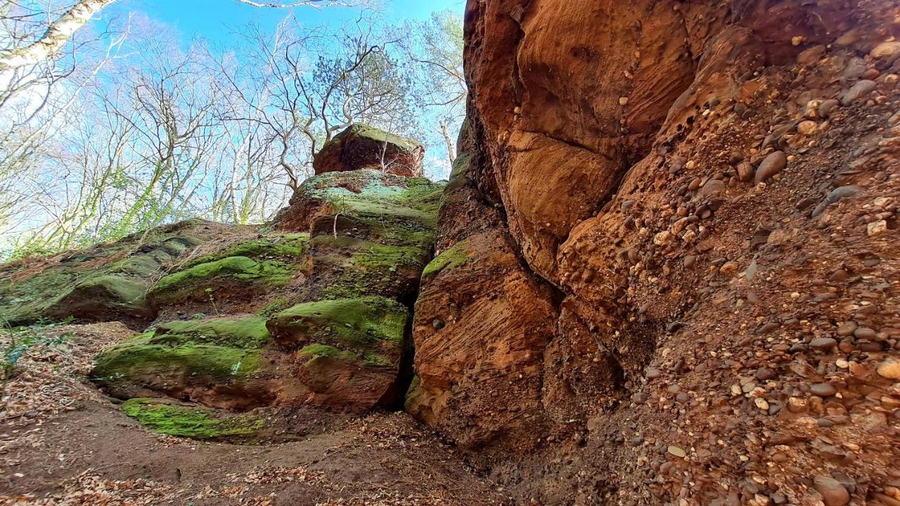 Eifelhof mit Obstbaumwiese Nideggen Exterior foto